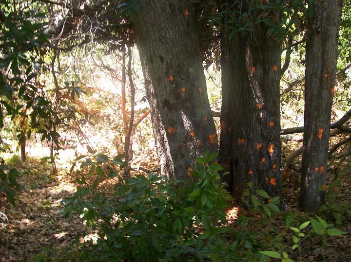 100_1541.JPG