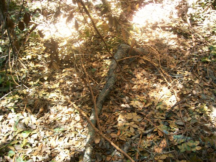 100_1546.JPG
