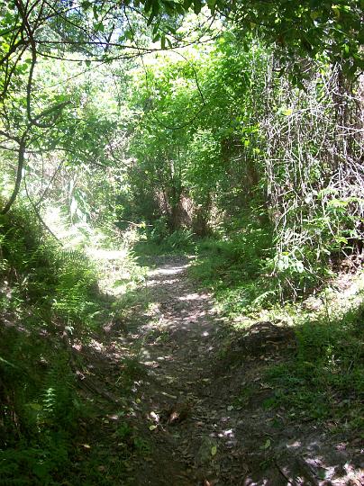 100_1550.JPG