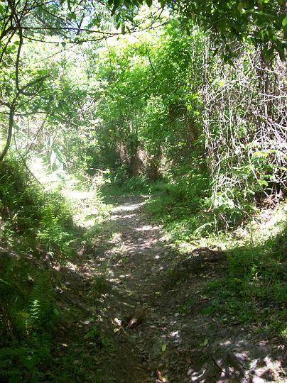 100_1551.JPG