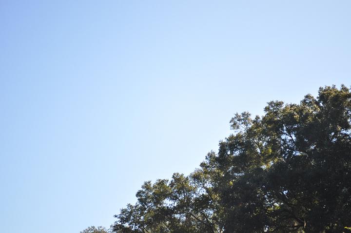 DSC_0391.jpg
