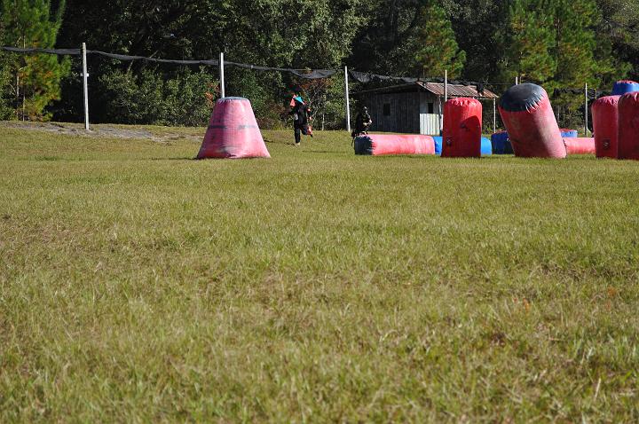 DSC_0493.jpg