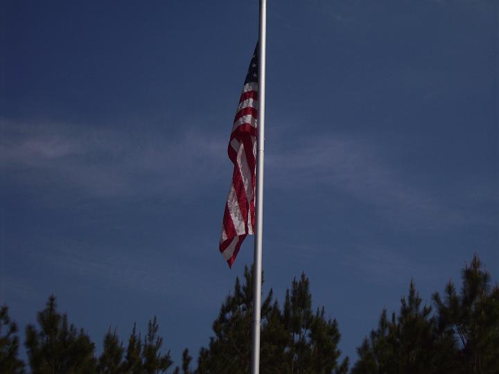 PICT0115.JPG
