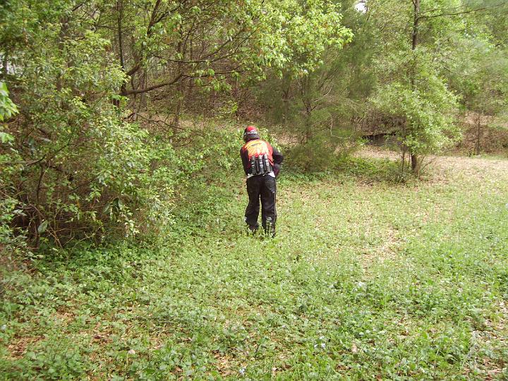 PICT0202.JPG