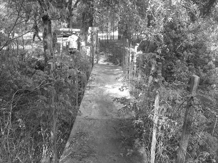 SD530064.jpg