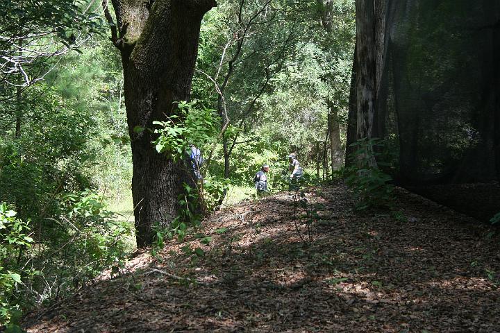 IMG_5762.JPG