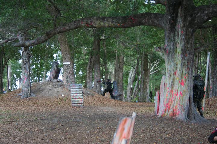 IMG_0334.JPG