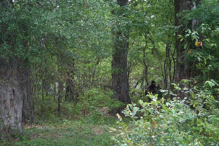 IMG_0356.JPG